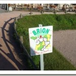 Welcome to Brion
