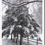outside my house