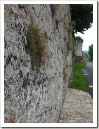 DSCF4532