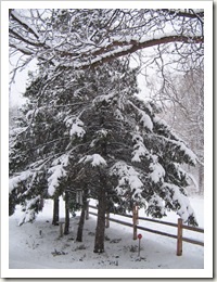 outside my house