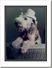 My best friend "Ruggles" - we had quite the game of tug-o-war in the day...